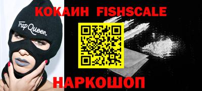 индика Новодвинск