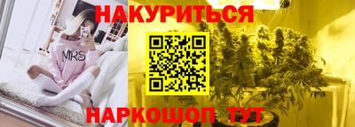 индика Новодвинск