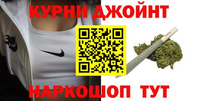 индика Новодвинск
