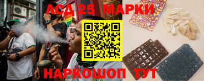 индика Новодвинск