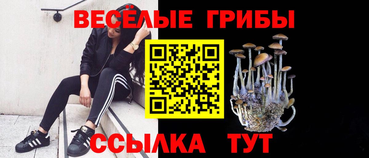 Псилоцибиновые грибы ЛСД  Псилоцибиновые грибы MAGIC MUSHROOMS  Пугачёв  Вход с VPN 